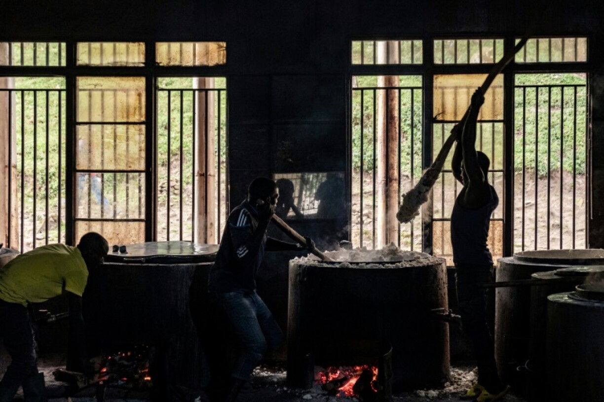 Many have surrendered this year after an offensive by Rwanda-backed forces in DR Congo