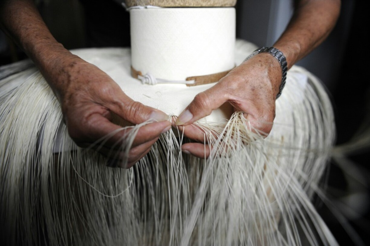 An Ecuadoran craftsman weaves a 'toquilla' straw hat -- better known as Panama