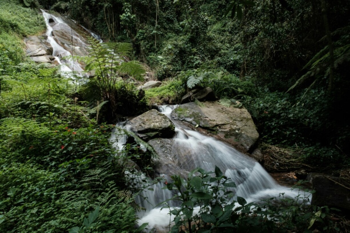 Une cascade dans le parc national de Kibira, le 13 mars 2022 au Burundi
