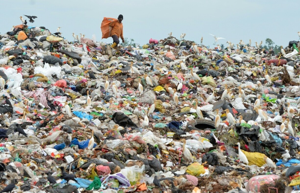 Plastic waste has been found from the bottom of the seas to the tops of mountains