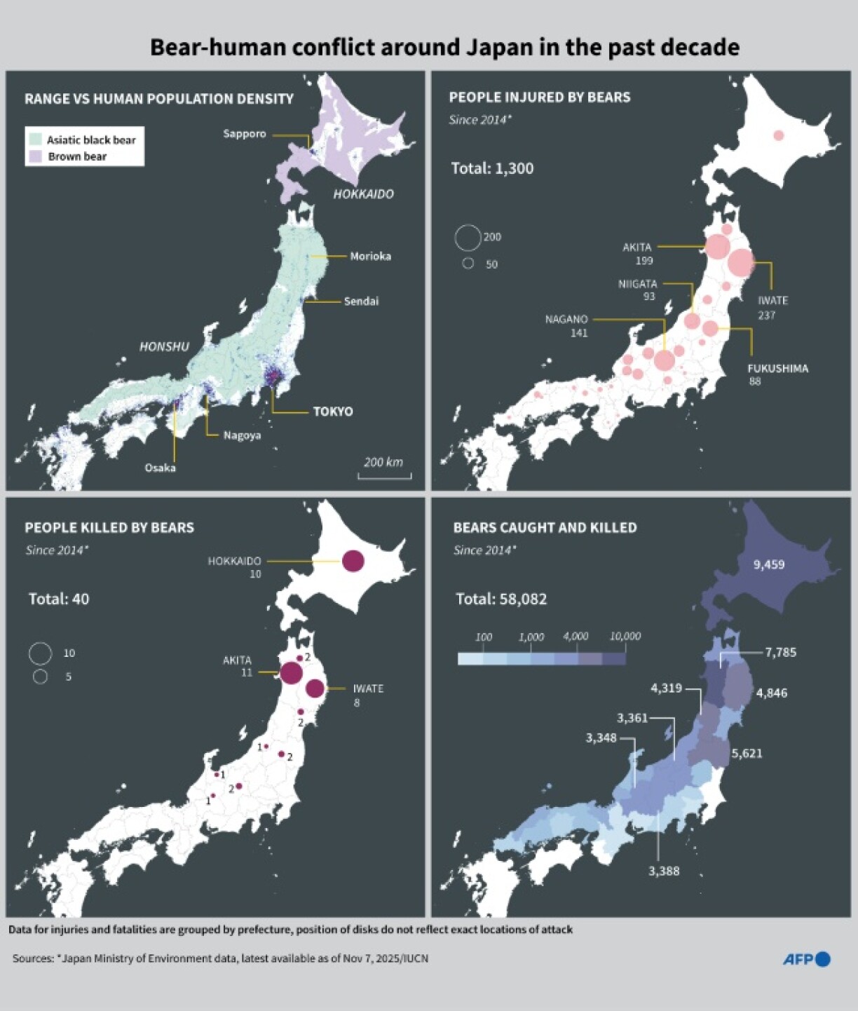Bear-human conflict around Japan in the past decade