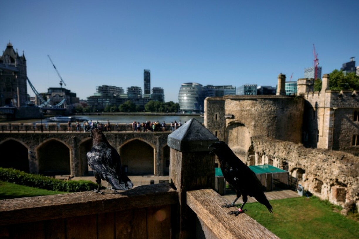 Ravens keep watch over the Tower of London, a UNESCO site in the heart of the capital city