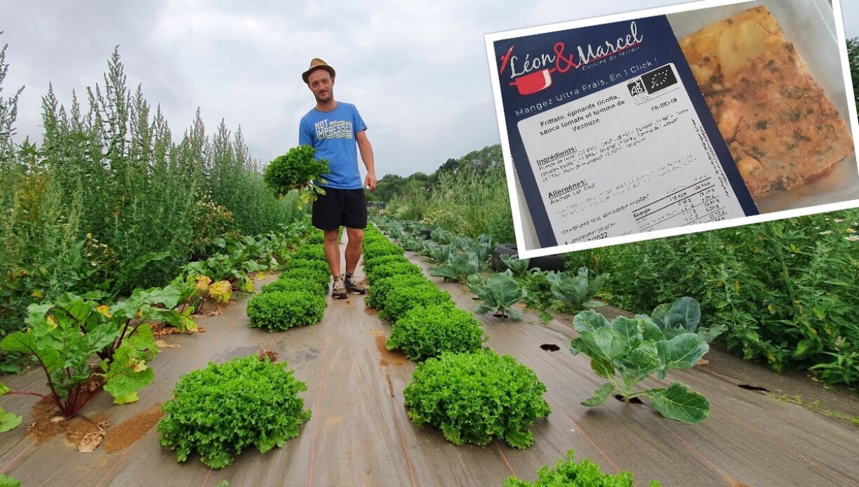 En quelques mois à peine, Areck (photo) a déjà fait pousser des centaines de légumes bio pour le traiteur Léon & Marcel, qui les transforme ensuite en plats ultra-frais (photo en médaillon).