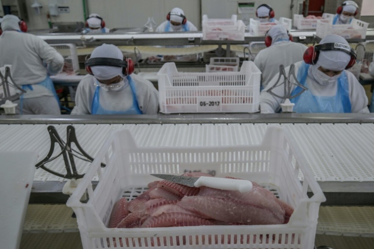 Fider Pescados ships both fresh and frozen tilapia to the US market