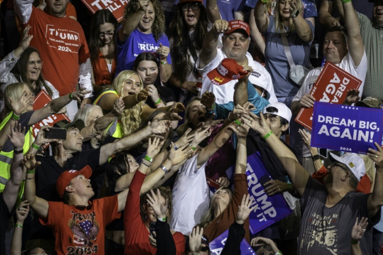 Elements of Donald Trump's