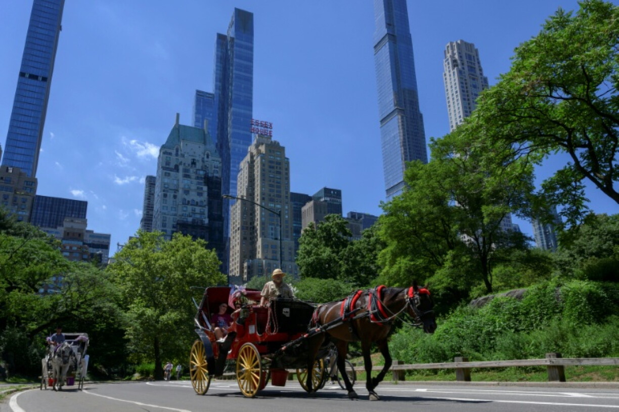 The end may be near for New York's famed horse-drawn carriages in Central Park