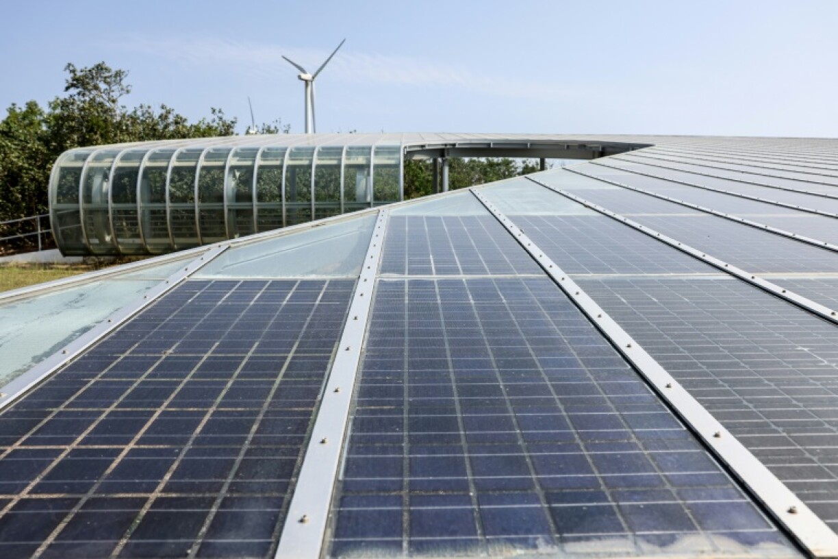 Solar has faced opposition from communities worried about panels occupying valuable land, while rules requiring locally made parts in wind turbines have slowed their deployment