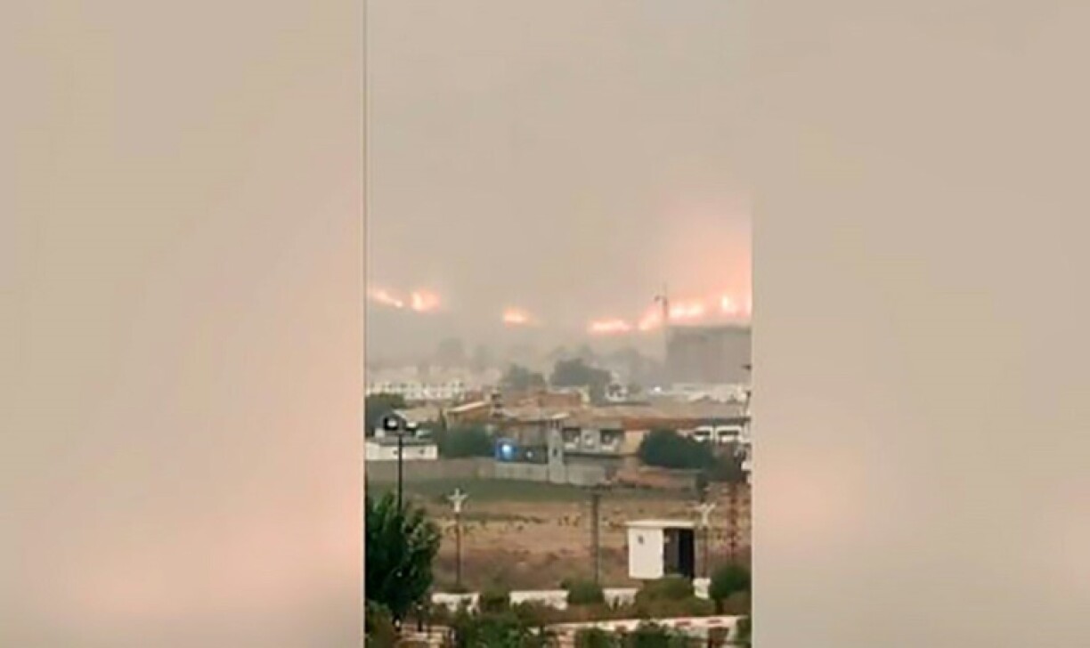Un grand incendie s'approche des habitations à El Tarf, le 17 août 2022 (photo extraite d'une vidéo)