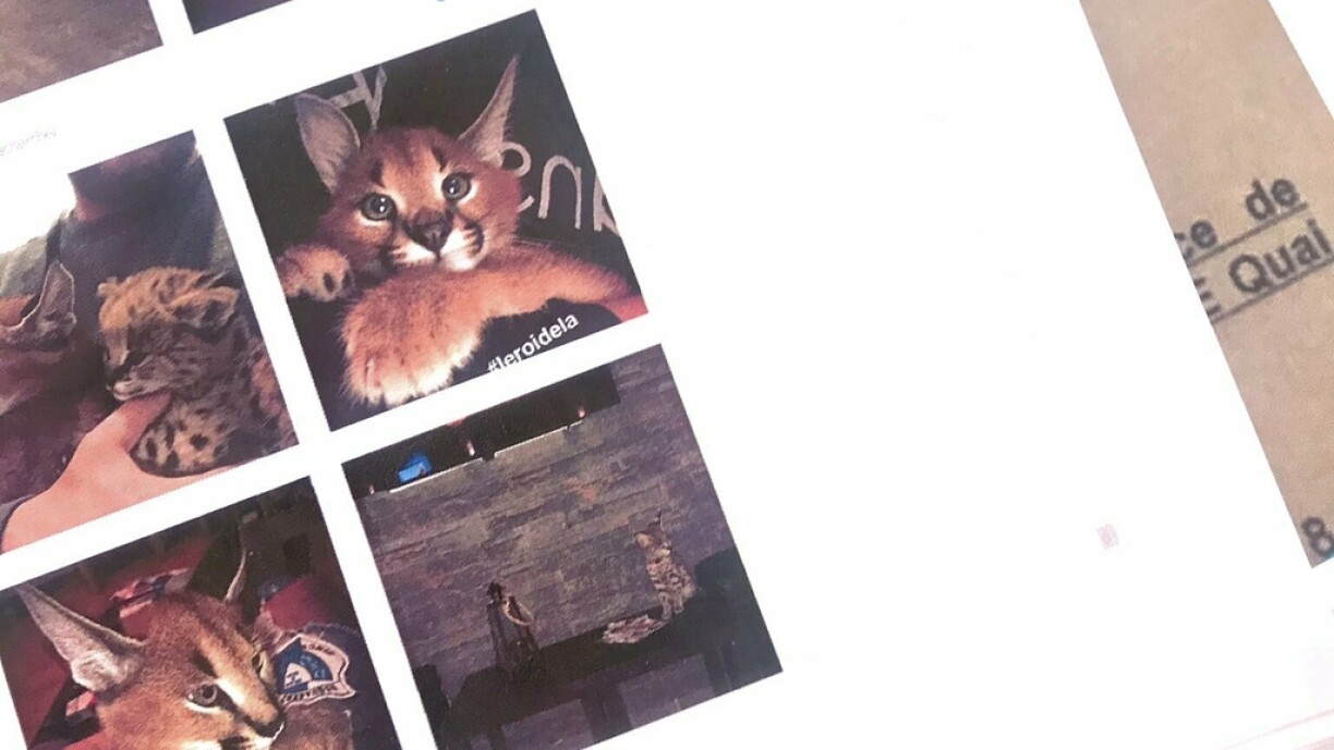 Des images du dossier publiées par le procureur de Thionville sur Twitter