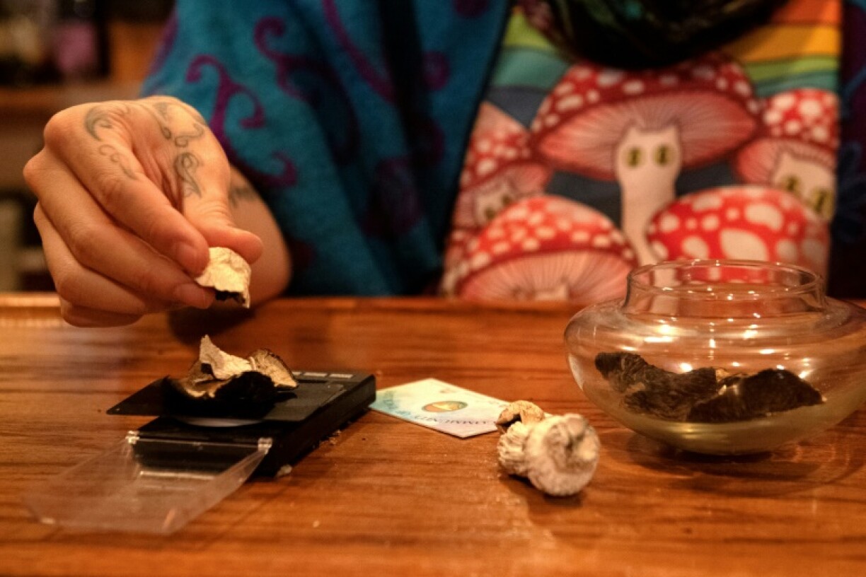 Long associated with hippie counter-culture, 'magic mushrooms' remain illegal in the United States