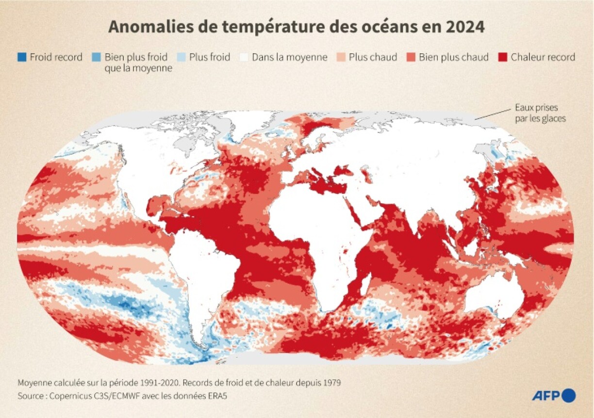 Anomalies de température des océans en 2024