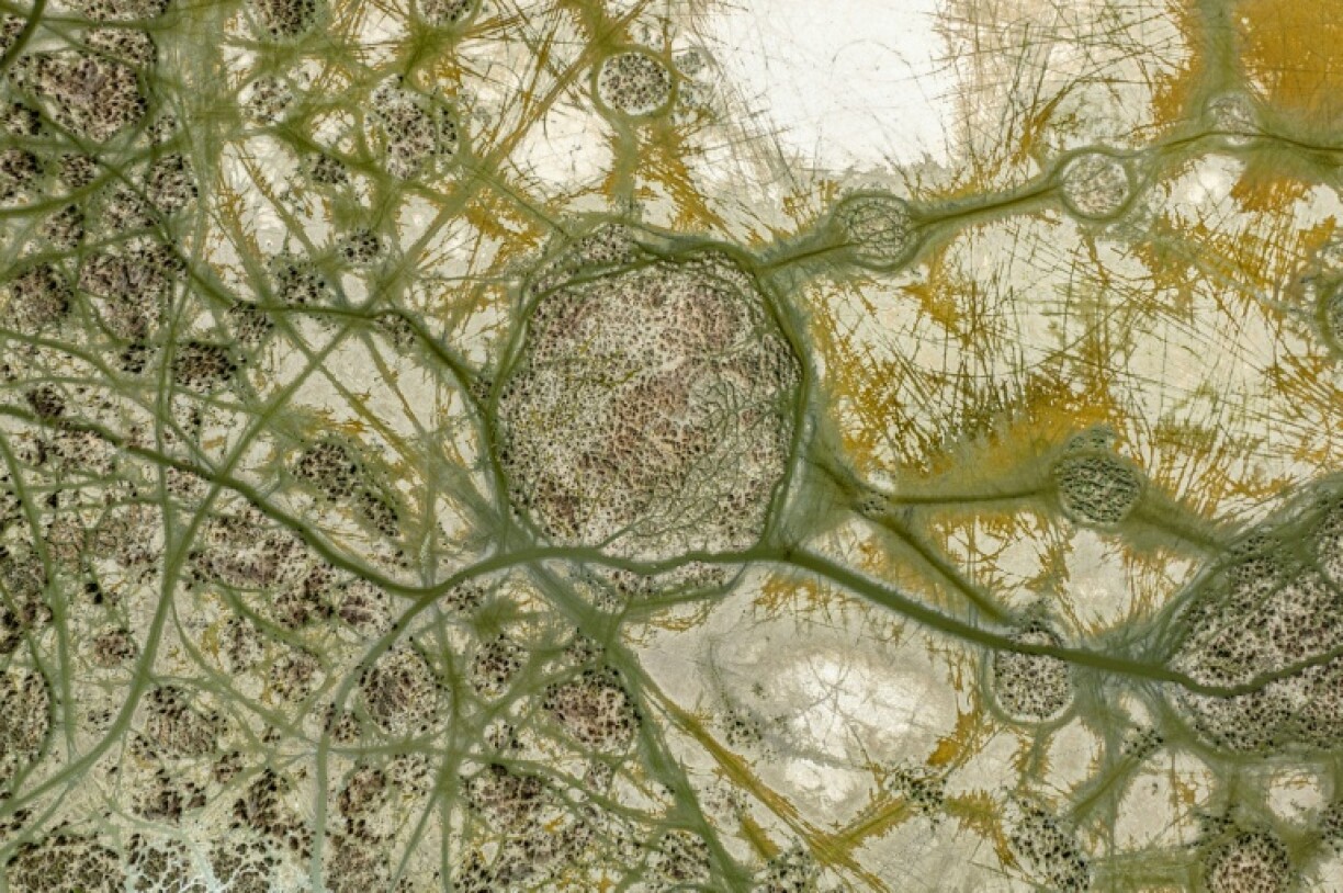 At the Chibayish marshes, scarce water still fills some channels, which authorities have deepened to help struggling buffalo herders