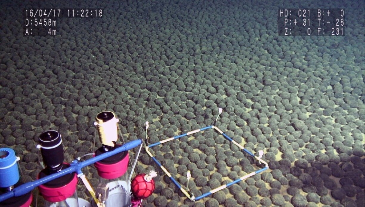So-called polymetallic nodules like those seen in this 2016 photograph from Japan are at the heart of the race to mine ocean floors for valuable minerals and metals