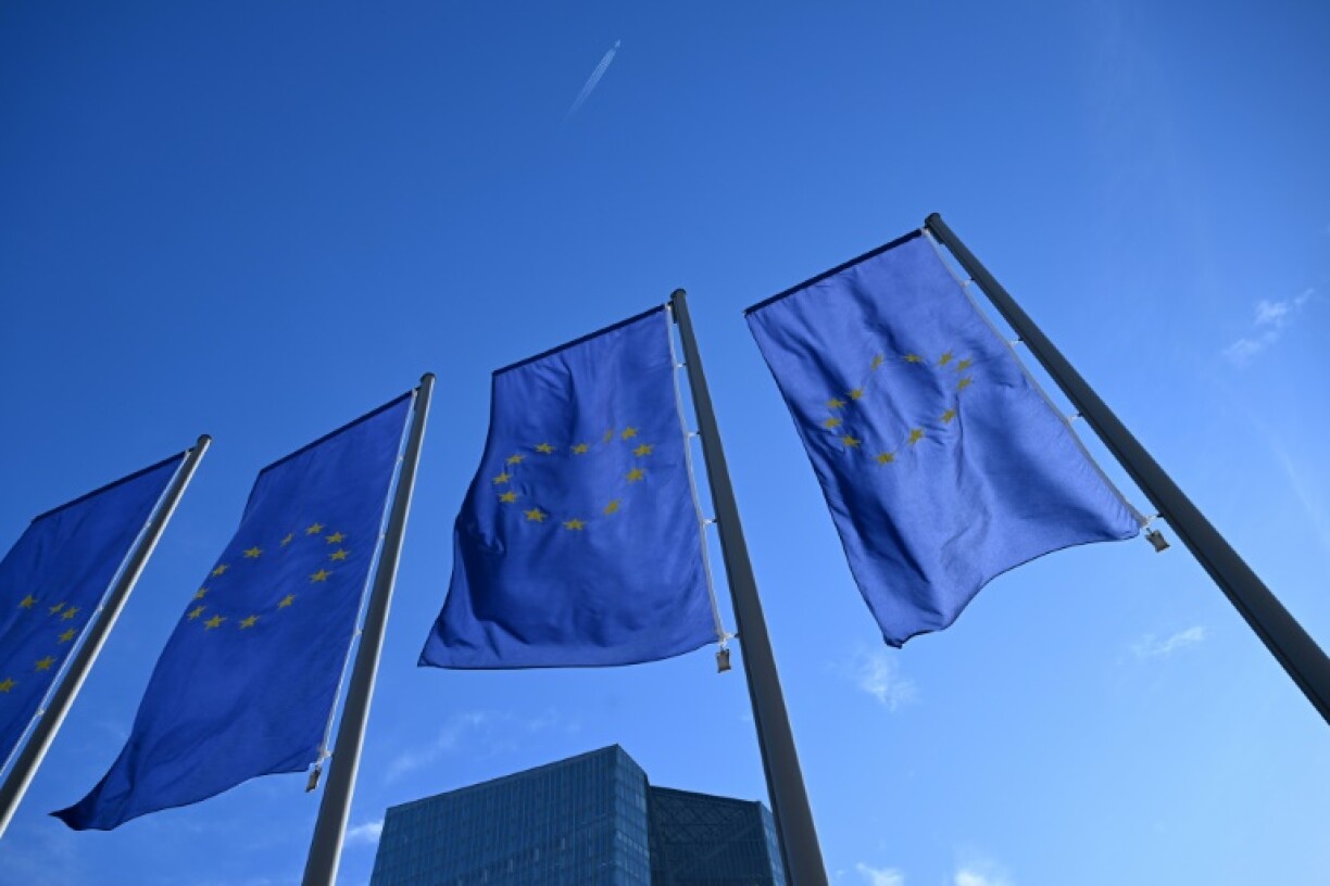 The ECB has been steadily reducing interest rates as inflation eases