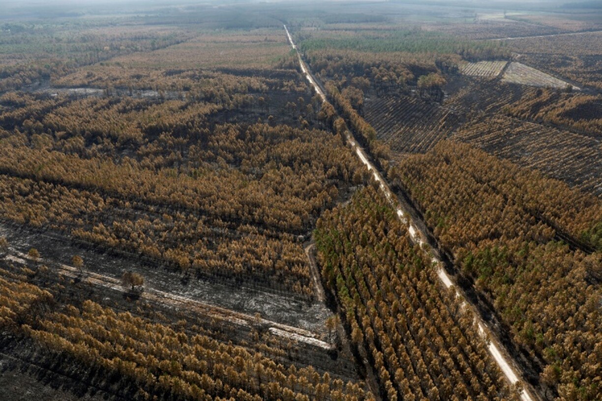 Vue aérienne depuis un hélicoptère du Service départemental d'incendie et de secours (SDIS 33) des ravages causés par un incendie à Landiras, le 23 juillet 2022