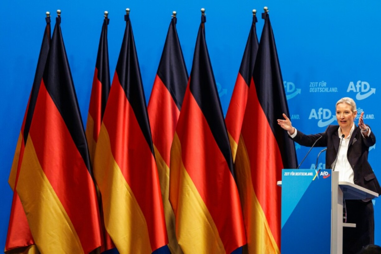 Alice Weidel is co-leader of the far-right Alternative for Germany (AfD) party