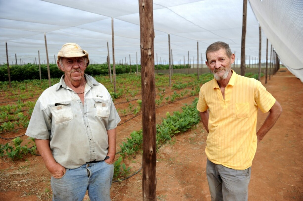 Some Afrikaner farmers fear their land will be expropriated by the government as happened in neighbouring Zimbabwe