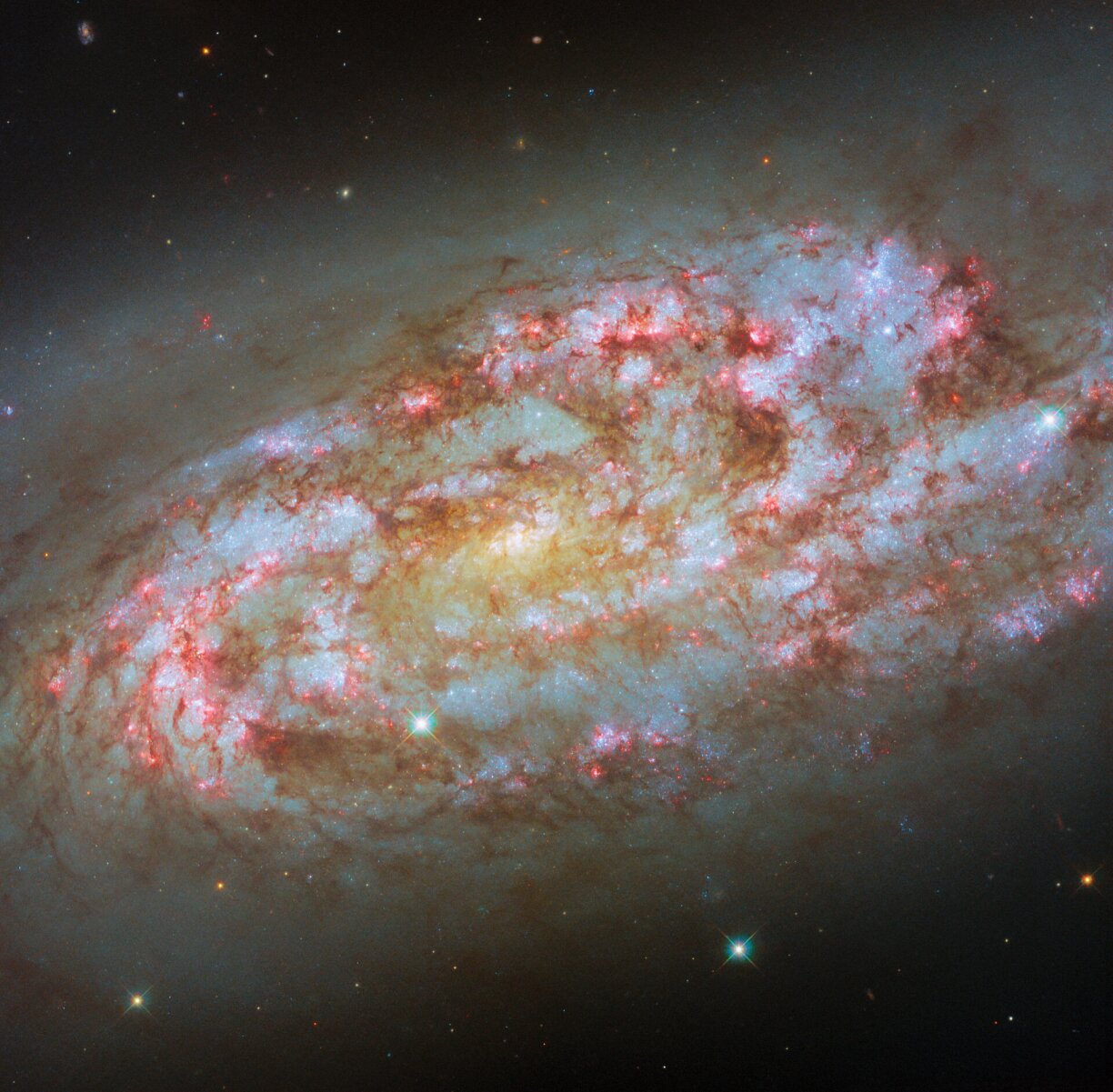 A "stormy and highly active spiral galaxy named NGC 1792" taken by the Hubble telescope