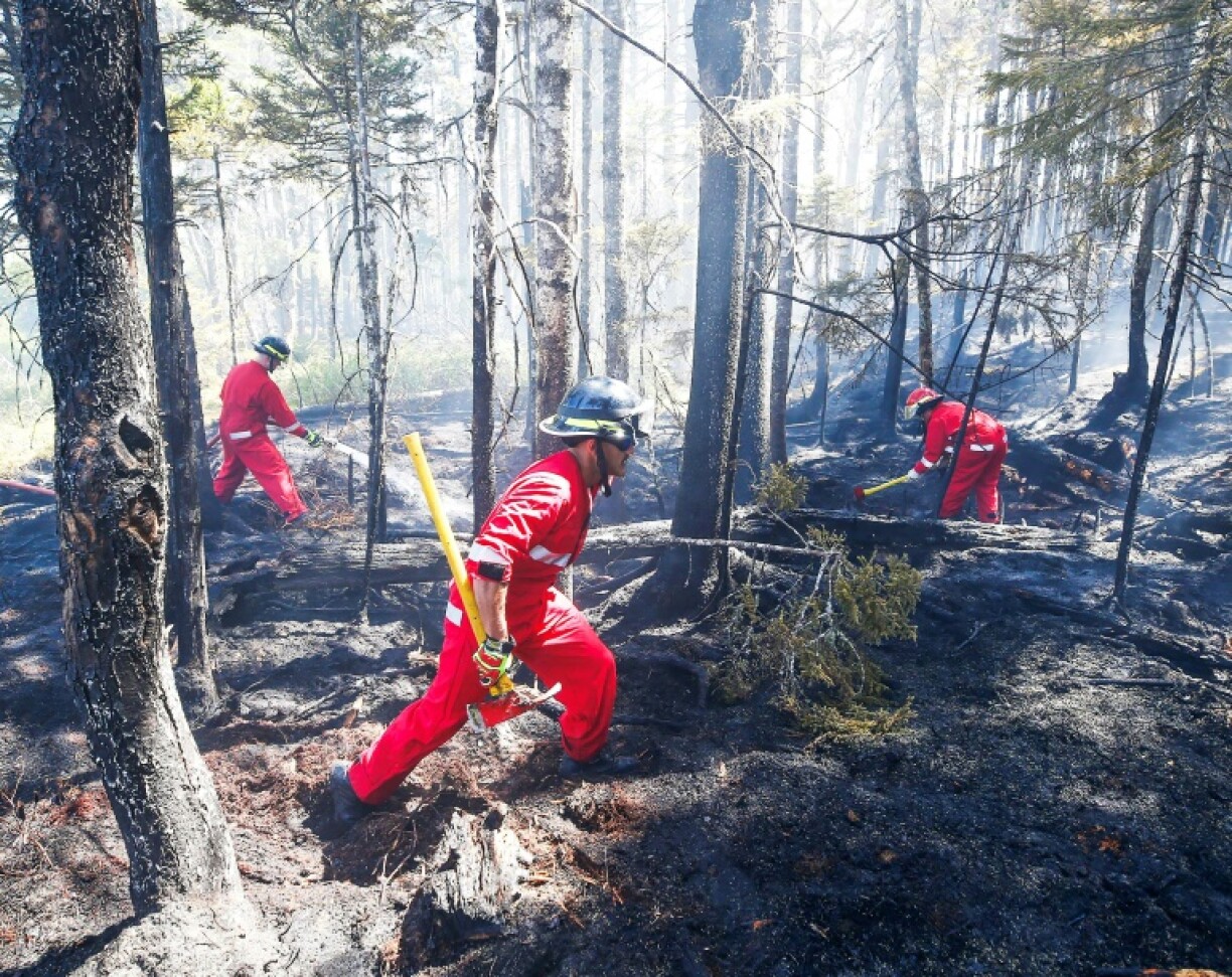 Photo diffusée par le gouvernement de la province de Nouvelle-Ecosse le 31 mai 2023 de pompiers luttant contre des incendies près d'Halifax, dans l'est du Canada