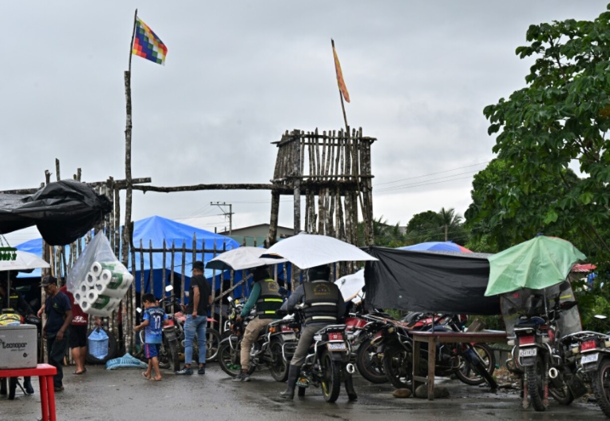 Supporters of former Bolivian president Evo Morales live in makeshift shelters and serve in shifts guarding the entrance to his stronghold of Lauca Ene