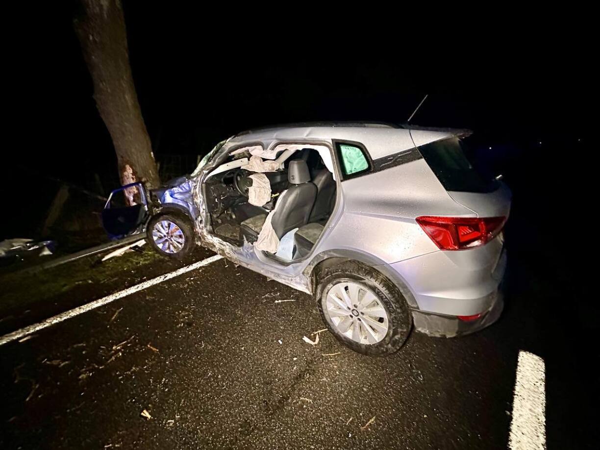 Une voiture a percuté un arbre sur la N12.