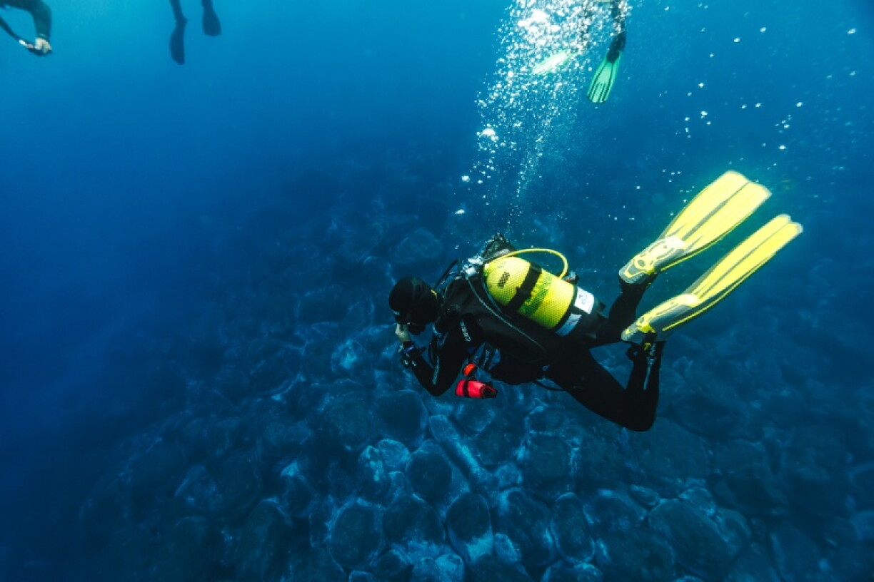 Comparative studies offer a glimpse of how different levels of protection affect marine life