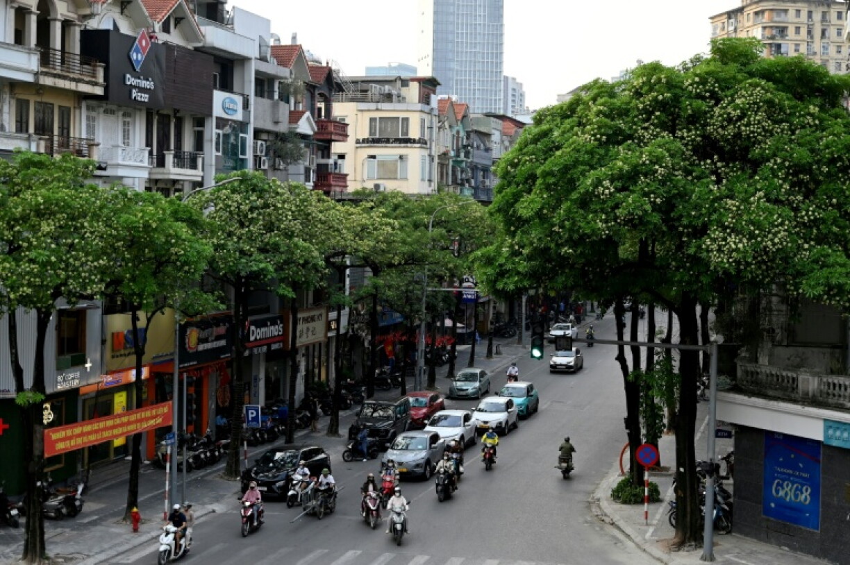 The Vietnamese capital boasts more than 14,400 alstonia scholaris, tall evergreens that shade the streets in summer and in autumn produce flowers that fill the air with a heady scent