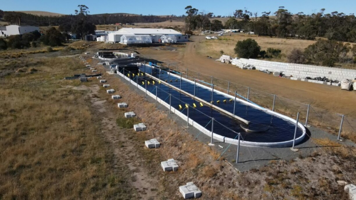 Sea Forest's headquarters in Triabunna, Tasmania