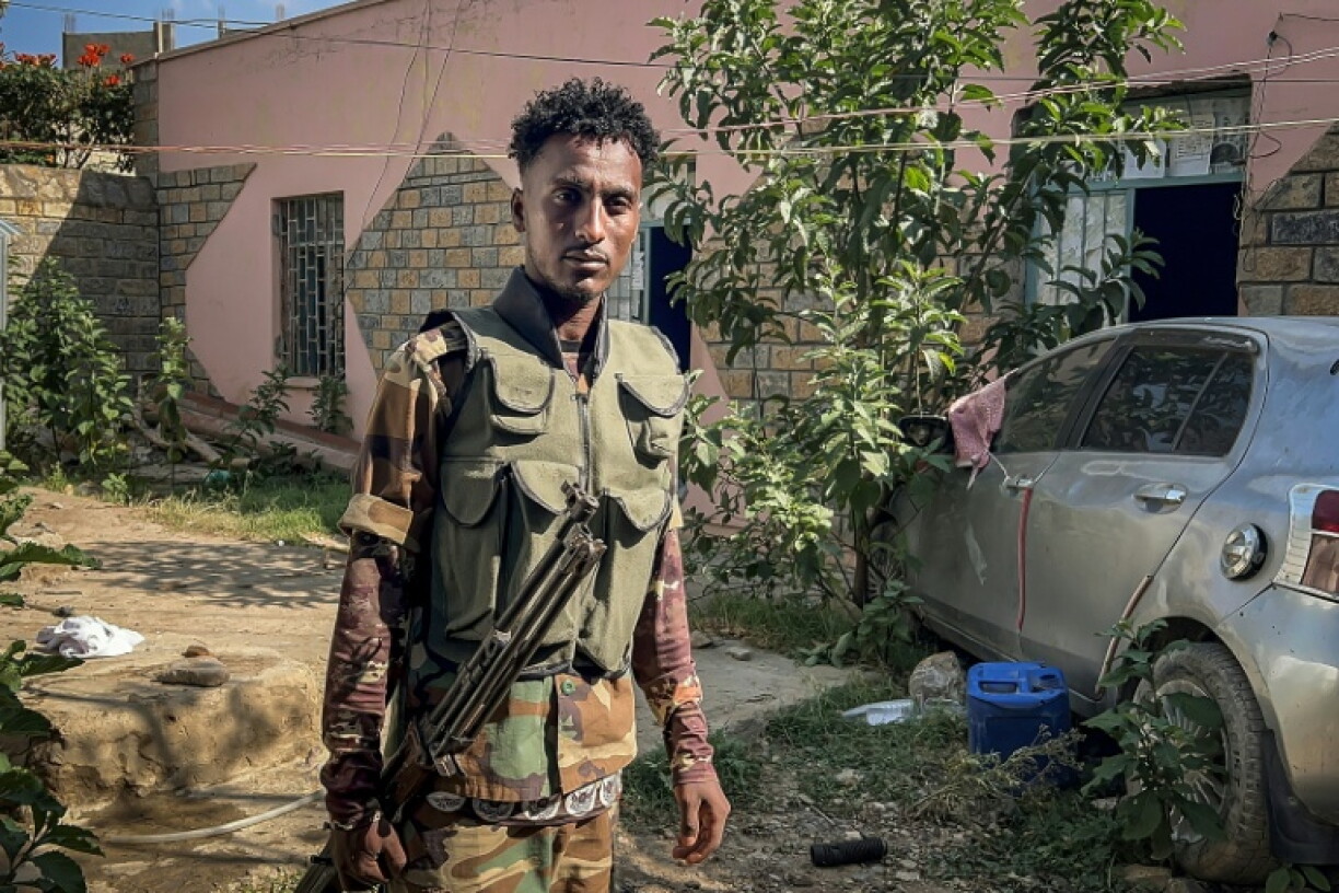 The Tigray Peace Force has allied with the government against the TPLF