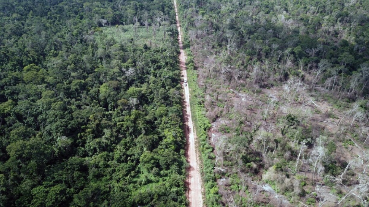 Aerial viewiew of a forest burned after a wildfire near Santa Ana de Velasco, Santa Cruz Department, in the Chiquitania region of Bolivia, on February 11, 2025
