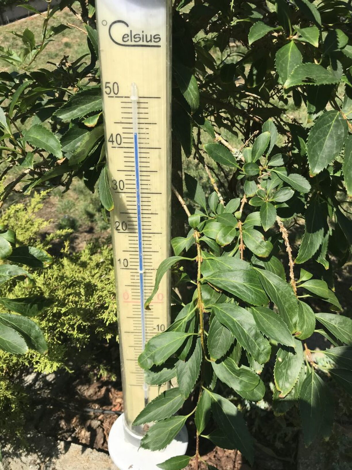 43 degrees Celsius were recorded in Grevenmacher on Wednesday morning.