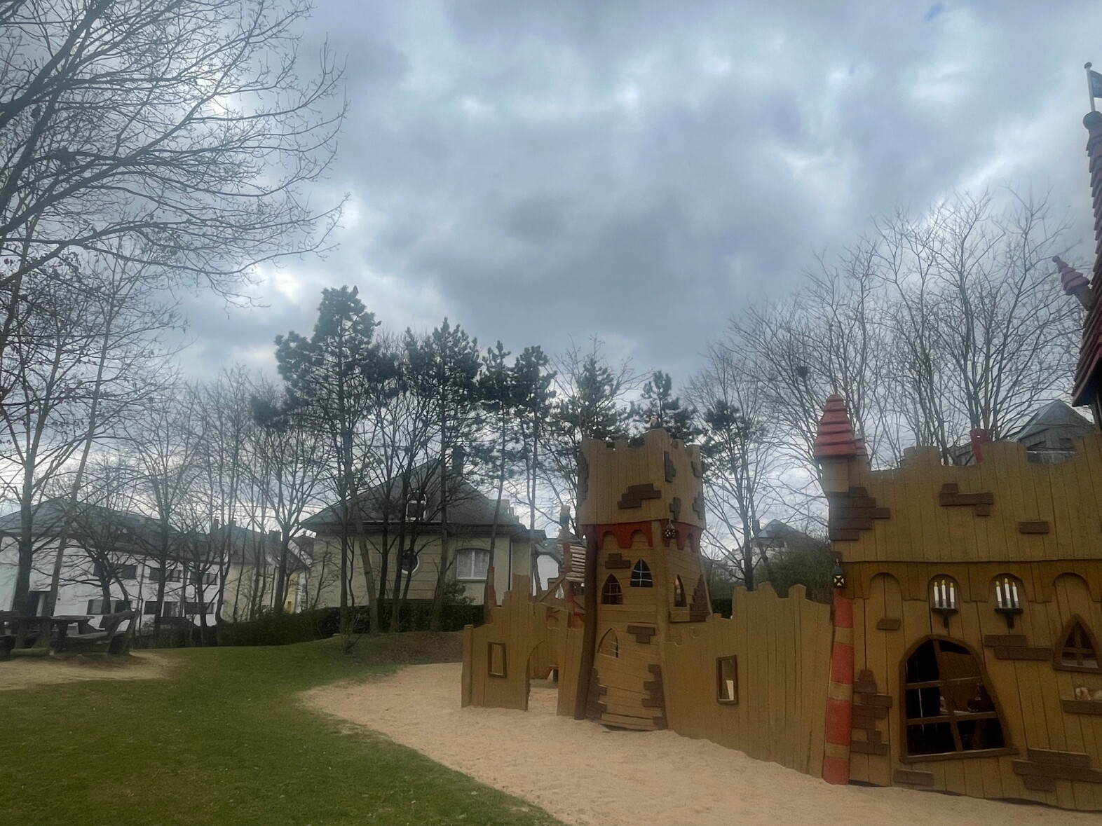 Noisy Rooks Noisy neighbours: Luxembourg City implements rook management plan - RTL ...