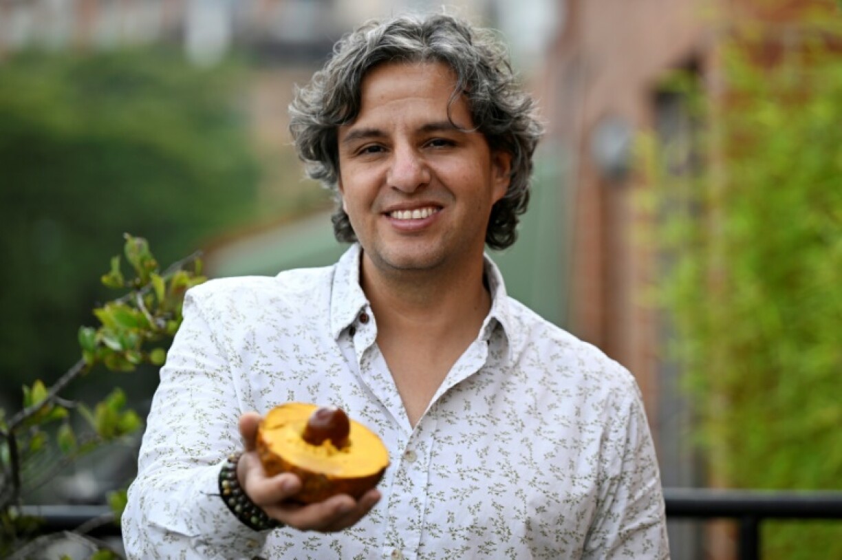 Daguer describes the lucuma as 'very dry' with a 'strong caramel-like flavor'