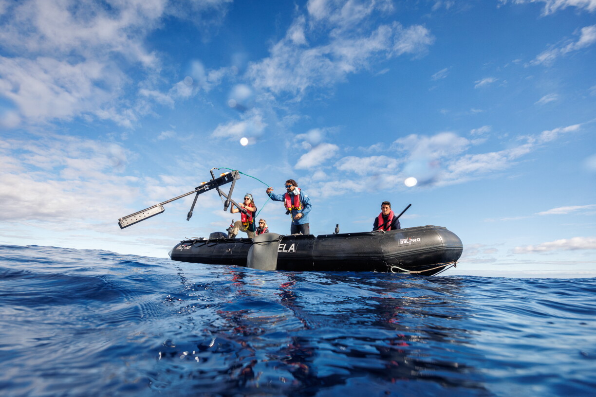 Juan Mayorga, spécialiste des sciences marines au sein du programme "Pristine Seas" de National Geographic, et la biologiste marine Mariana Silva soulèvent un dispositif BRUVS (système vidéo sous-marin téléopéré avec appât) en vue de son déploiement depuis un bateau pneumatique motorisé, au large de Madère, le 12 octobre 2026, dans le cadre de l’expédition scientifique "Madeira Ocean".