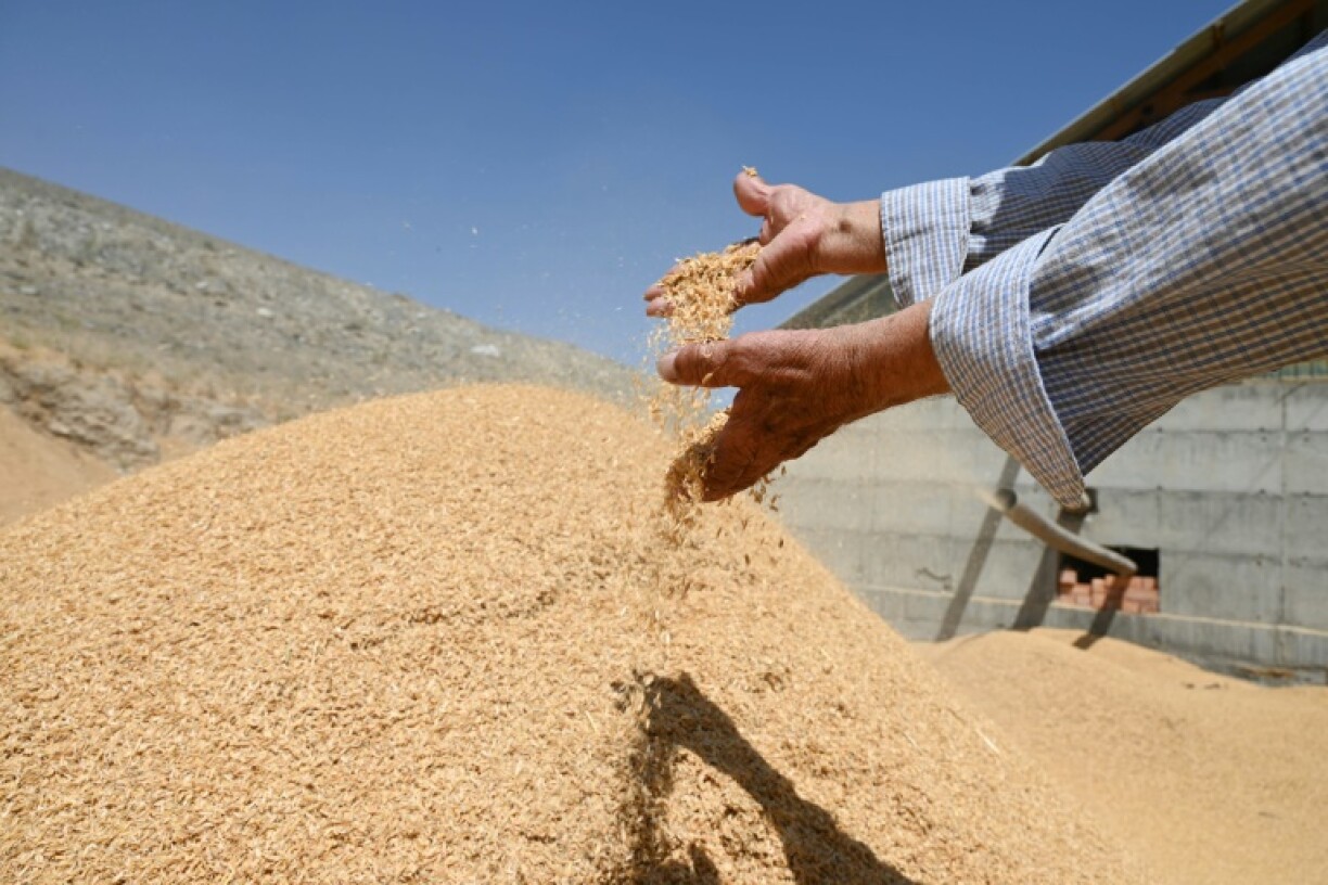 Cement is more expensive in Kyrgyzstan than anywhere else in Central Asia and rice husk is emerging as alternative