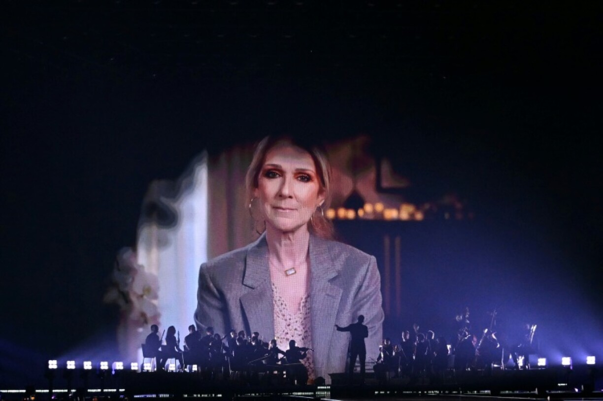 Canadian megastar Celine Dion gave a video message at the Eurovision semi-finals