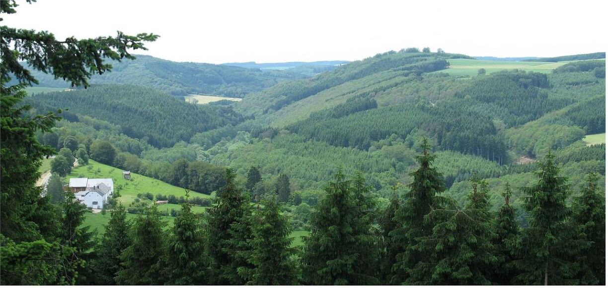 The areas around the Ardennes Forest, known in Luxembourgish as the Eislek, were not conducive to agriculture.