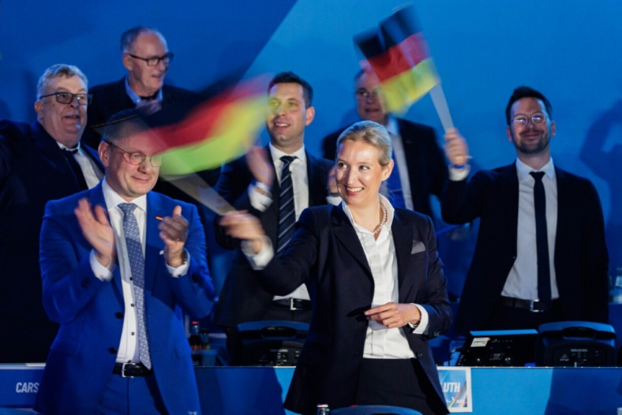 Dozens of fake sites mimicking German media are flooding the internet with content favourable to the far-right AfD party