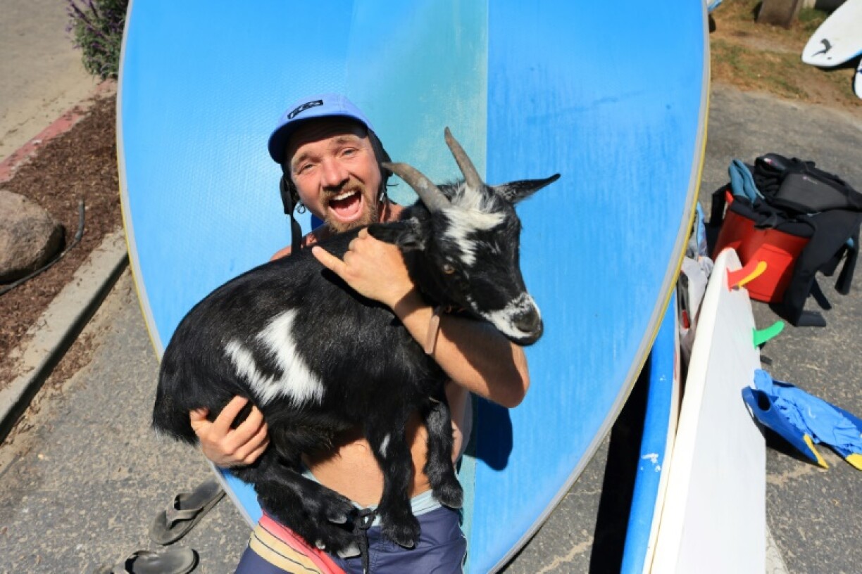 Dana McGregor félicite sa chèvre Chupacabrah, après une session de surf à Pismo Beach, en Californie, le 29 août 2023