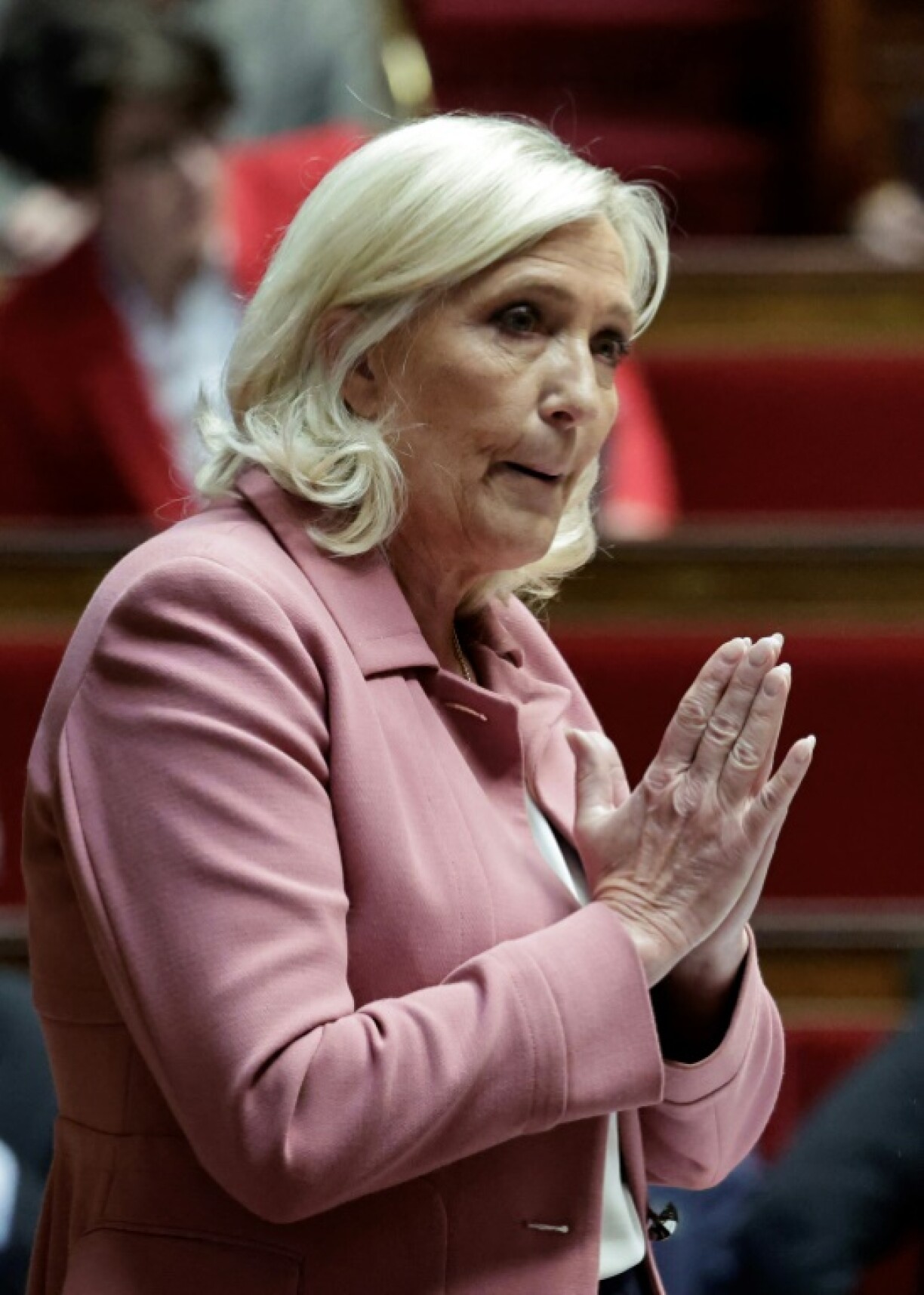 Le Pen has sought to reform her party