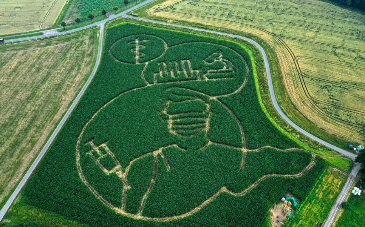An aerial photo taken on July 11, 2021 shows a maze in a maize field forming an image of a person who gets vaccinated against the coronavirus (Covid-19), in Selm, western Germany.