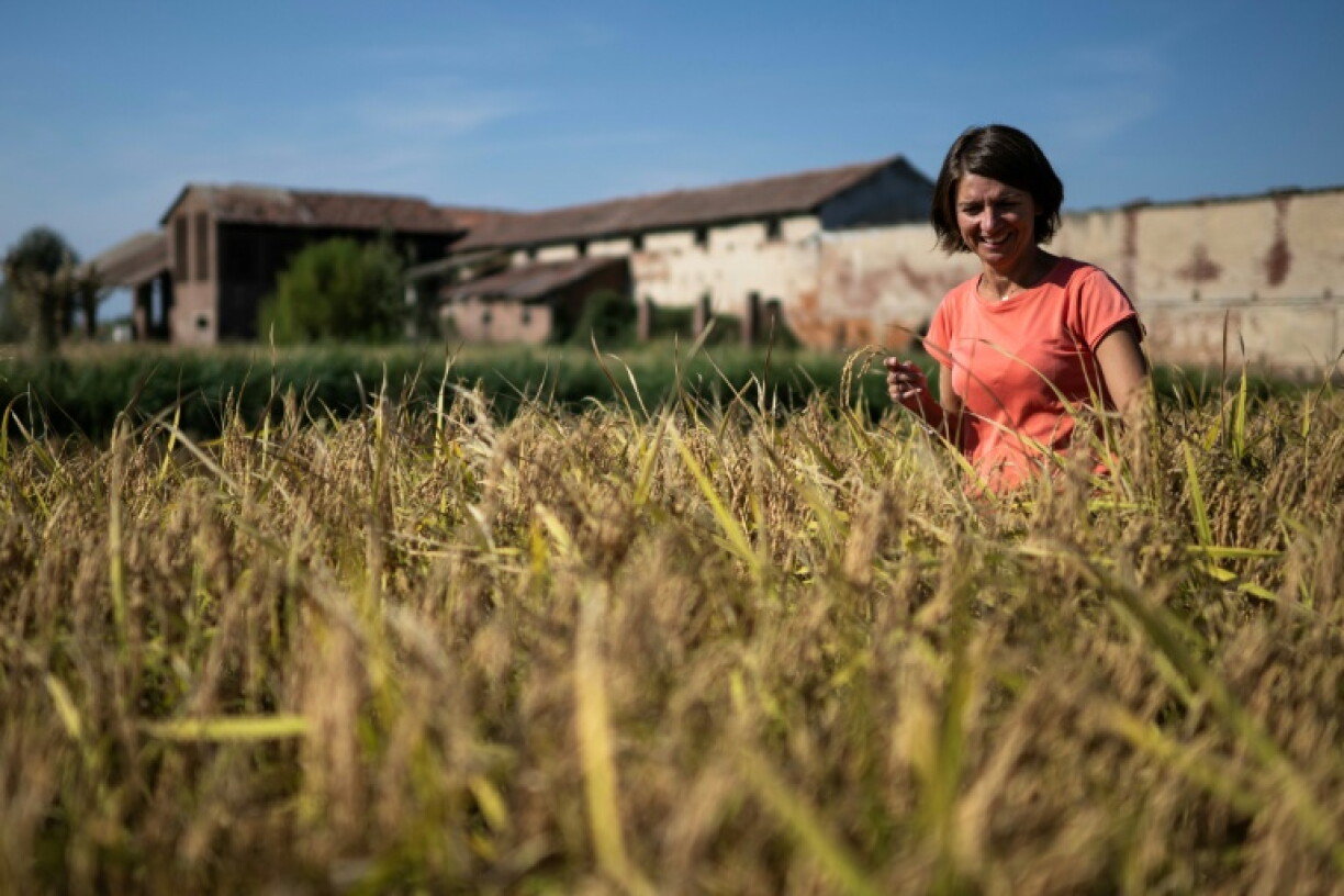 Cascina Oschiena dates back to the 16th century, when the land was farmed by Benedictine monks