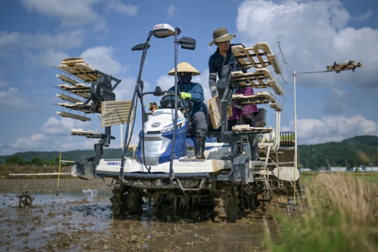 Farmers use a transplanter to plant rice seedlings at a farm in the town of Sanjo, Niigata prefecture