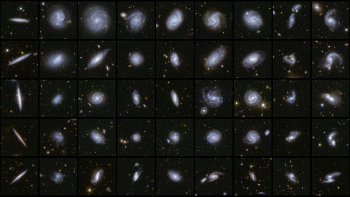 The galactic zoo: Just a few of the millions of galaxies captured by Europe's Euclid telescope