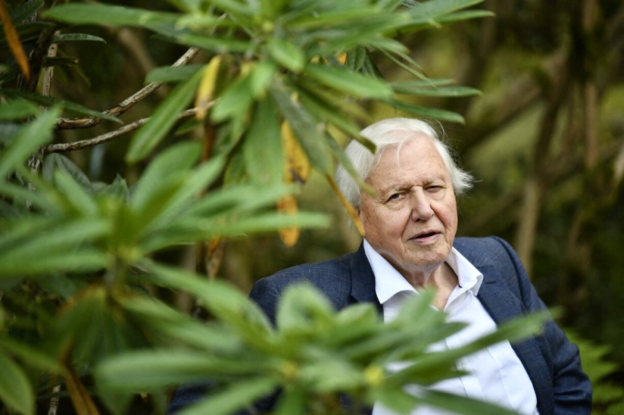 Den David Attenborough feiert e Freideg säin 100. Gebuertsdag.