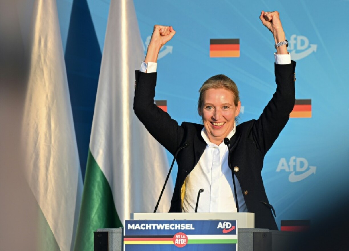 Alice Weidel is the top candidate of the far-right Alternative for Germany (AfD)