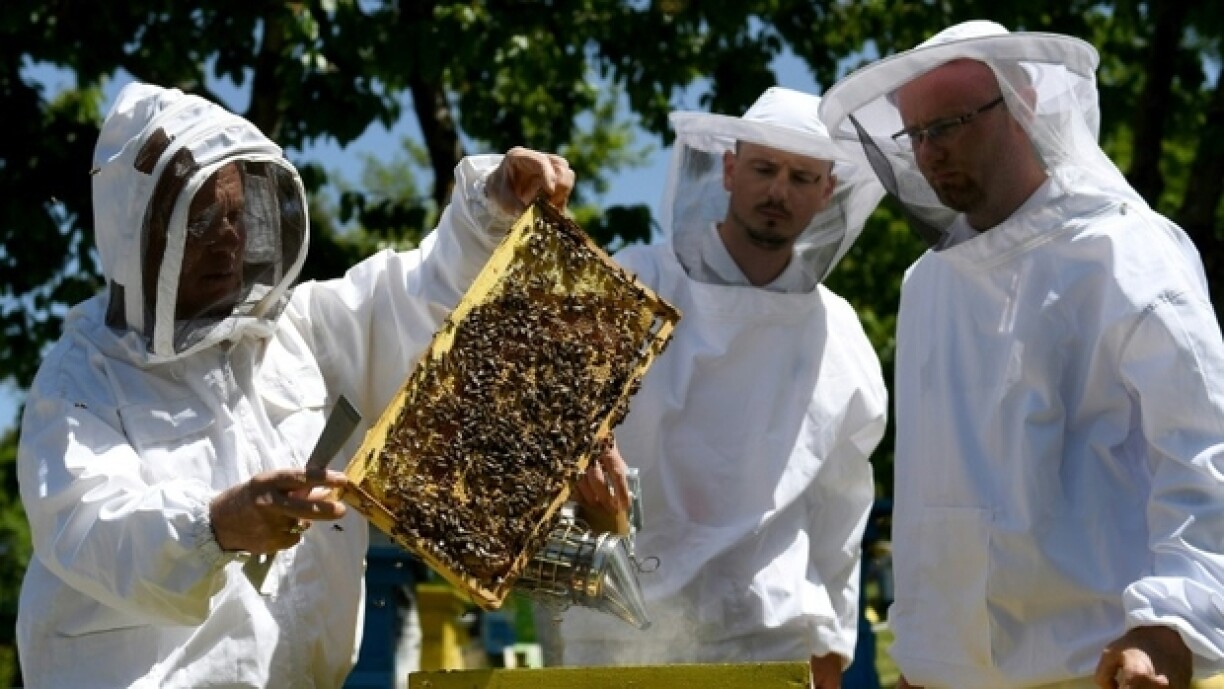 Image d'illustration