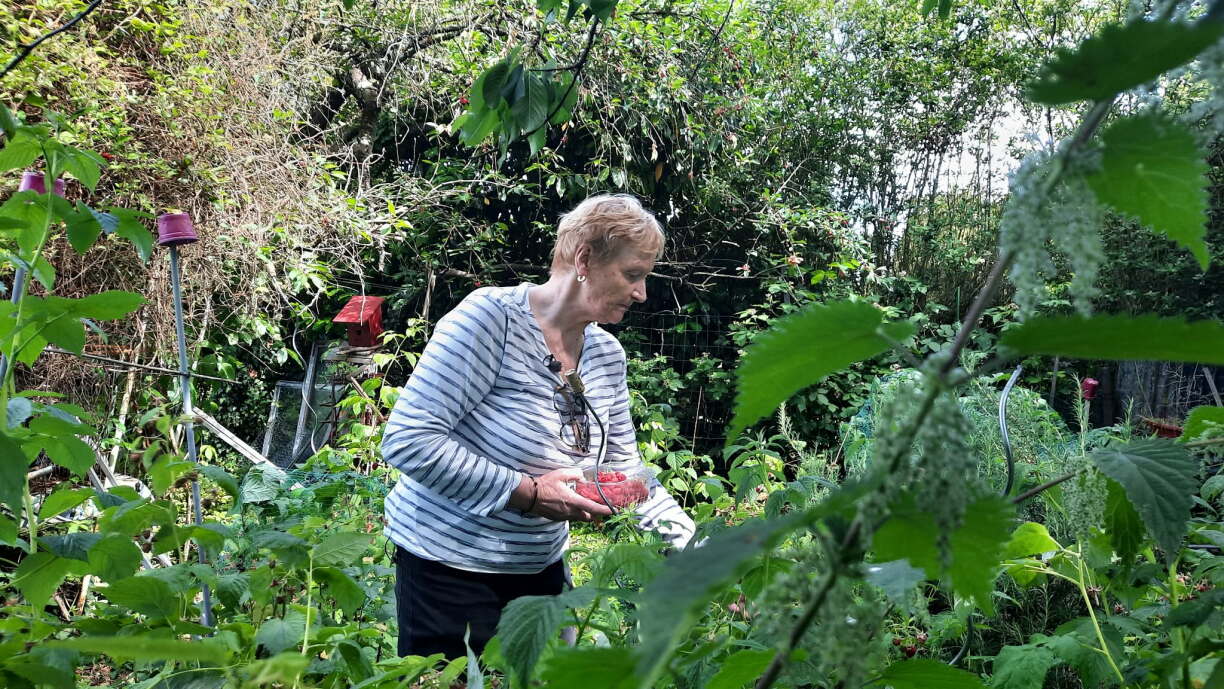 Dans son jardin, Jacqueline "renoue avec quelque chose qu'elle a conu durant son enfance: la terre, les odeurs, le chant des oiseaux ..."