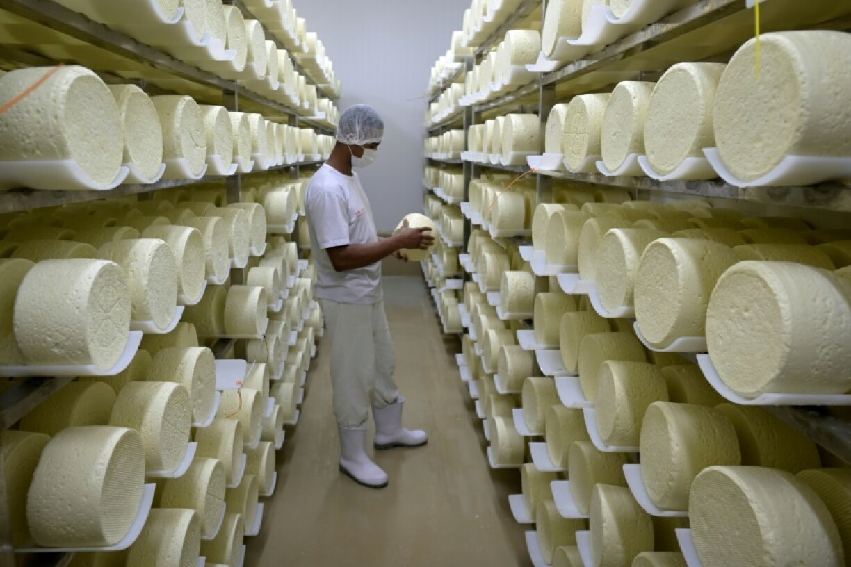 Des fromages entreposés à Cruzilia, dans l'Etat brésilien de Minas Gerais, le 1er décembre 2021