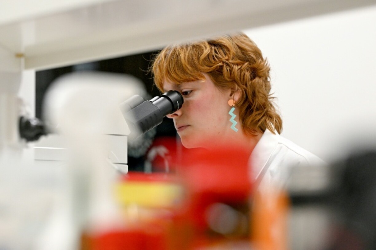 Scientists can keep frozen coral alive indefinitely and maintain its fertilising potential for the future